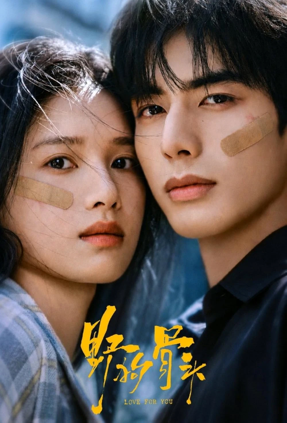 ซีรี่ย์จีน Love for You (2026) รักสำหรับคุณ ซับไทย หนังฟรี